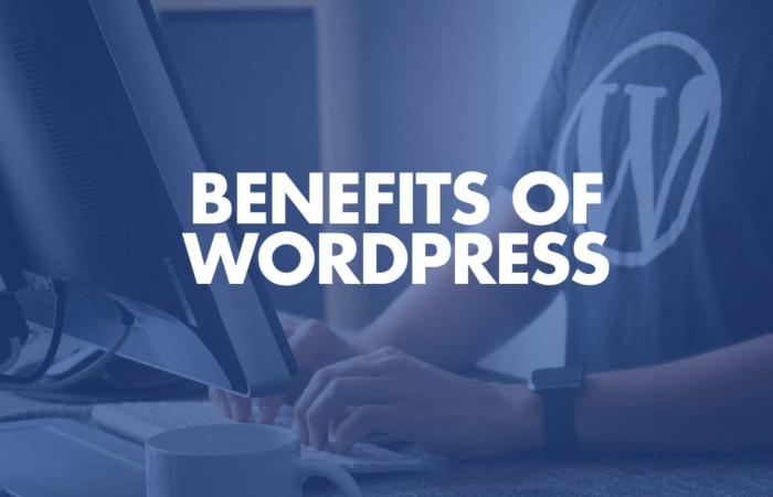 Benefits of Using WordPress for Your Website