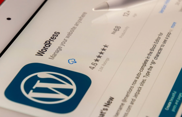 What Is the Role of a WordPress Developer