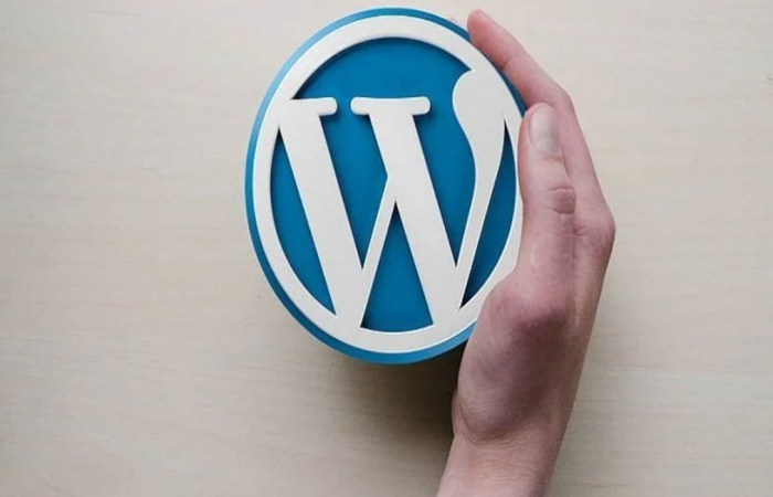 Top 5 Reasons Students Should Use WordPress for Blogging